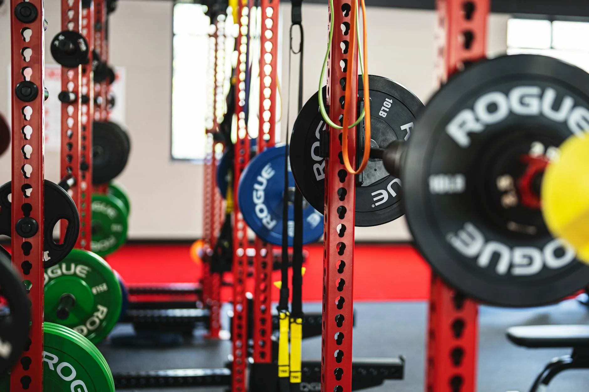 Person lifting weights in a clean private gym